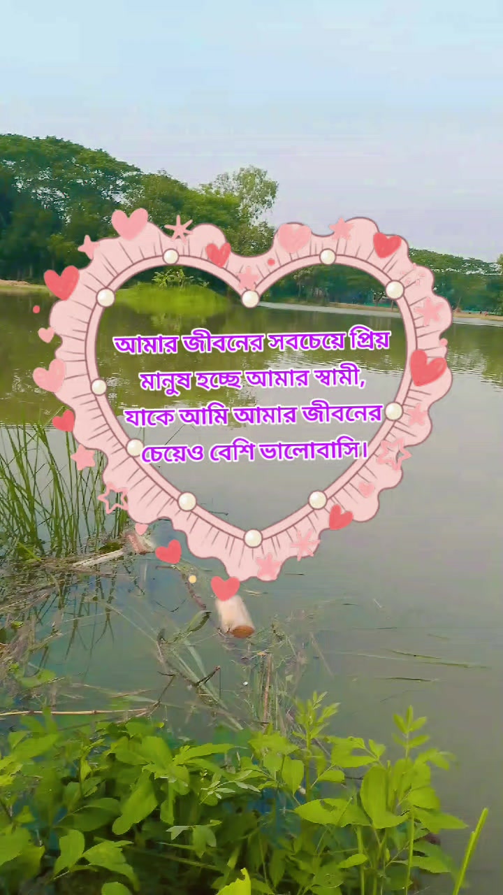 @রাত জাগা পাখি