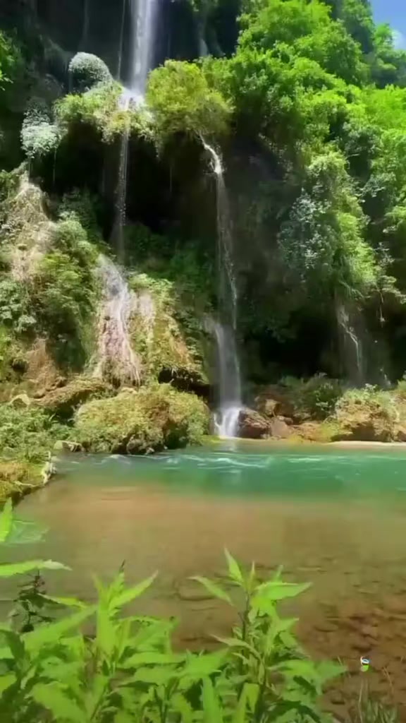 @limonçiçeği