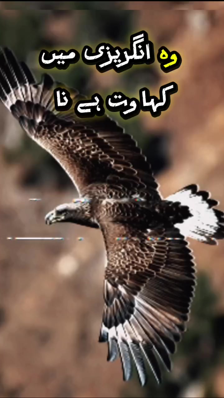 @『Write』