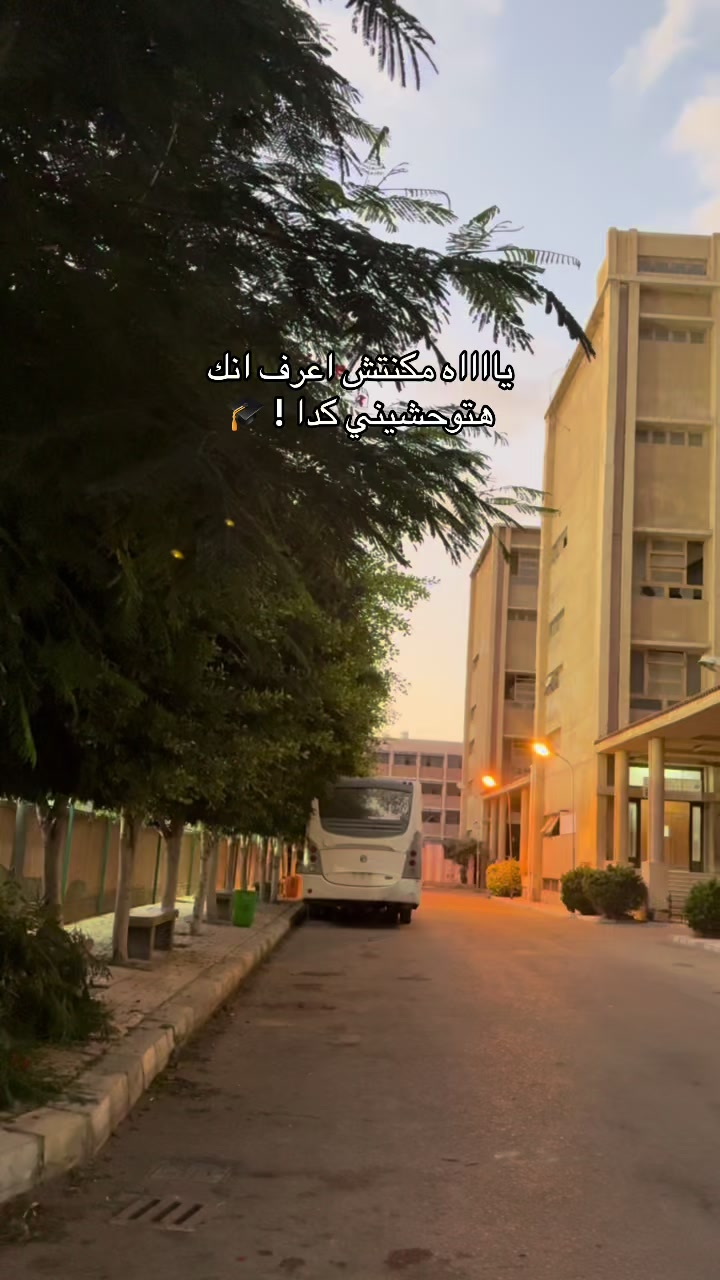 @Mohamed Badawi