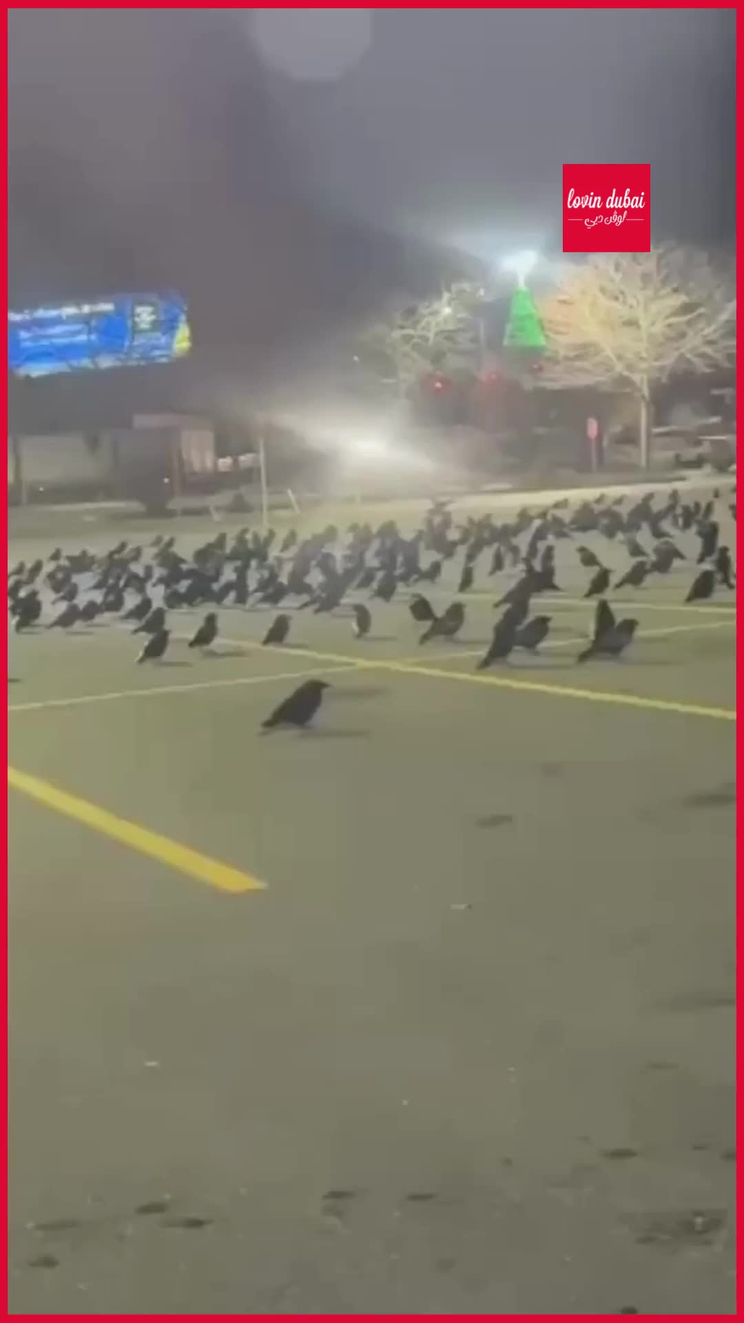@Lovin Dubai | لوڤن دبي