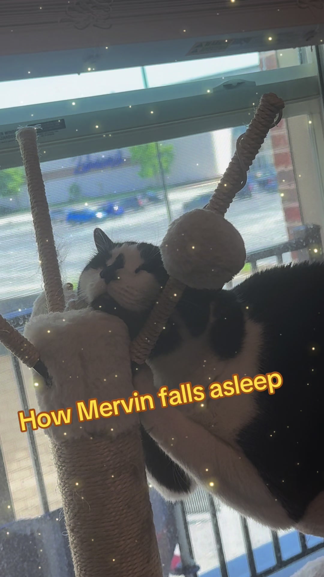 @Mecksy