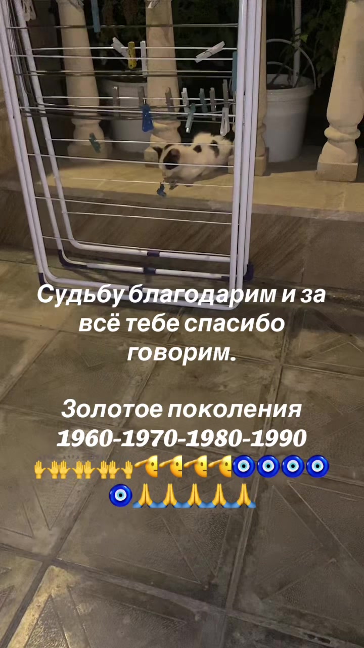 @1969 BAKI