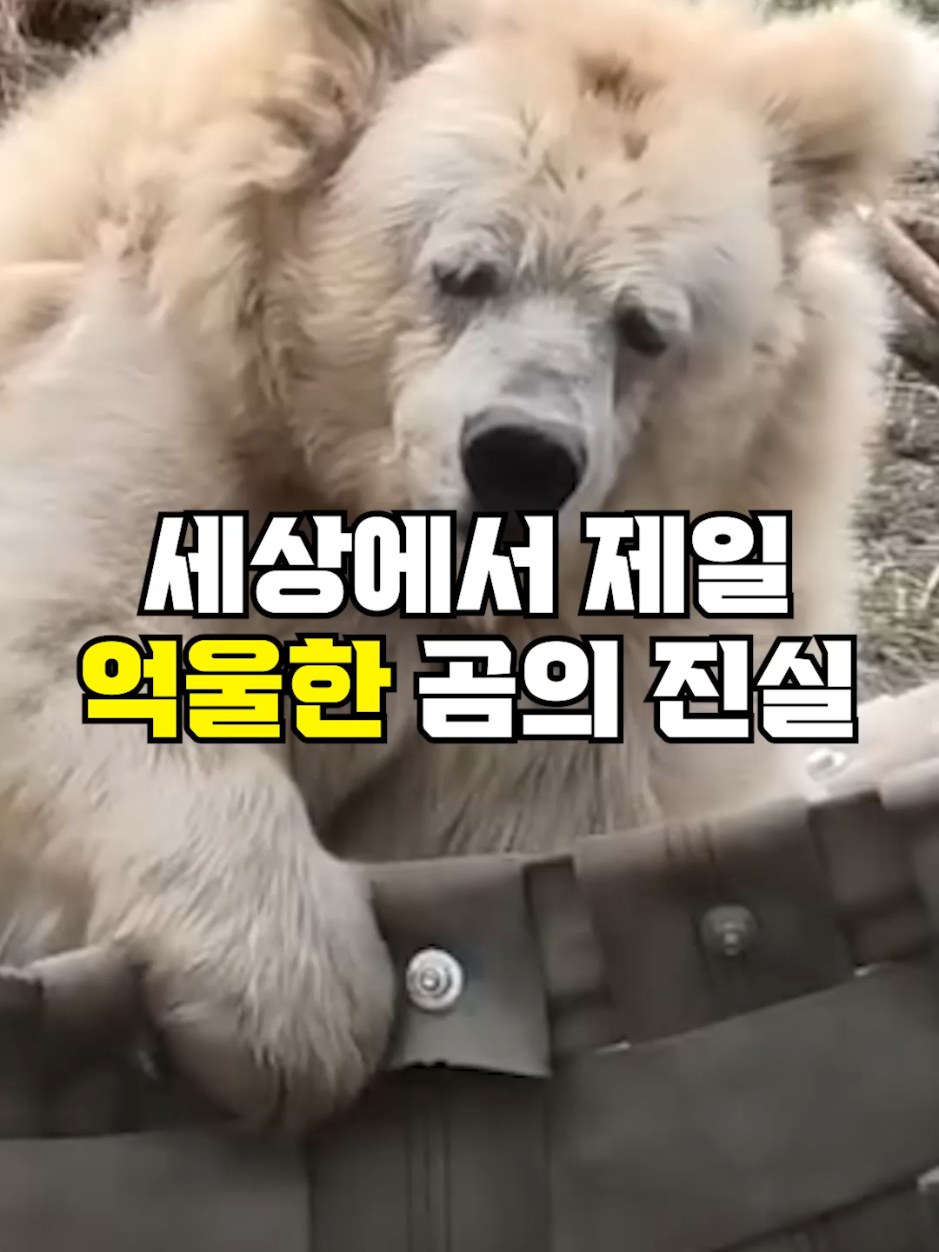 @뚝딱 상식 뚝배기