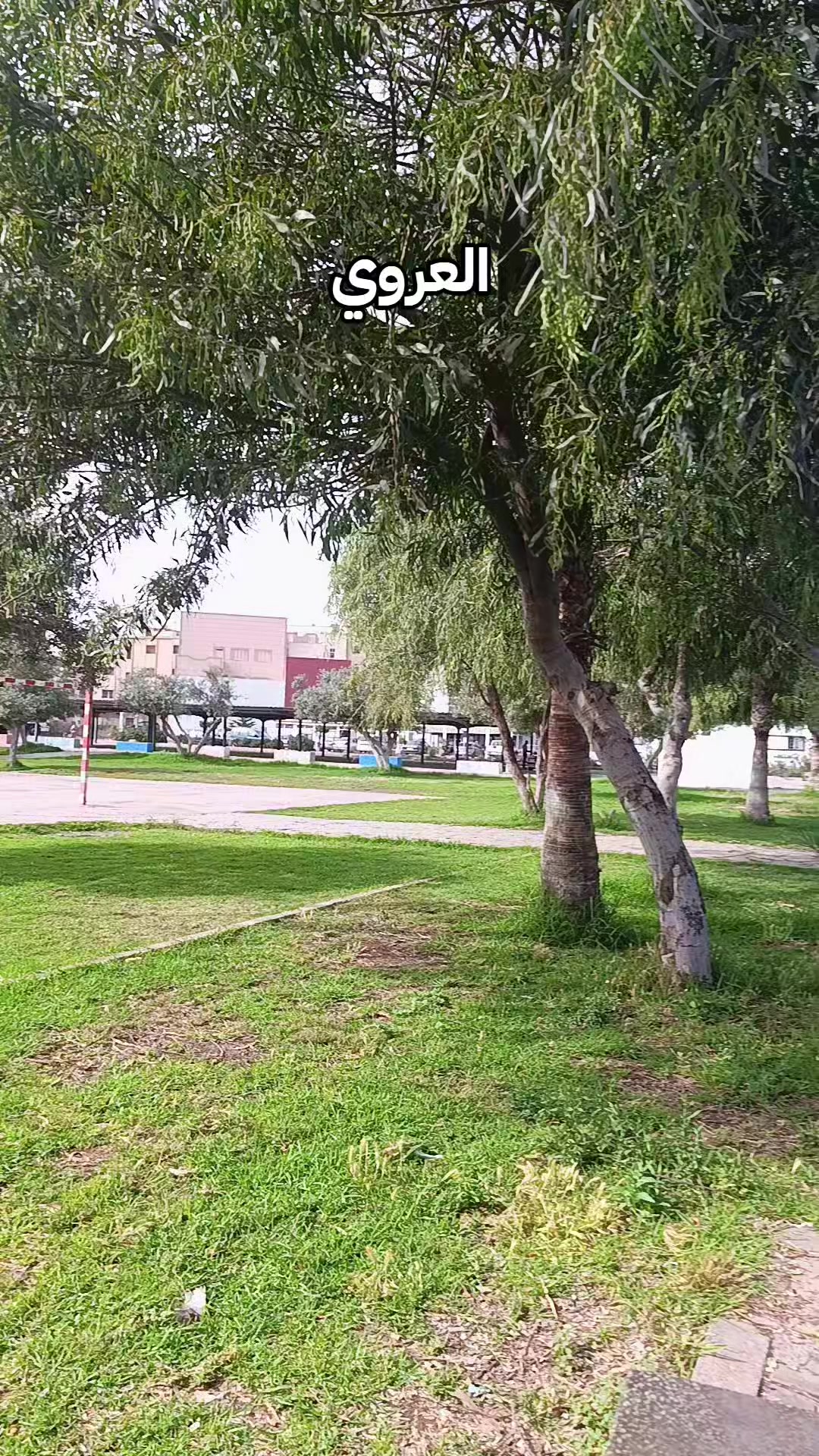 @youssef 46