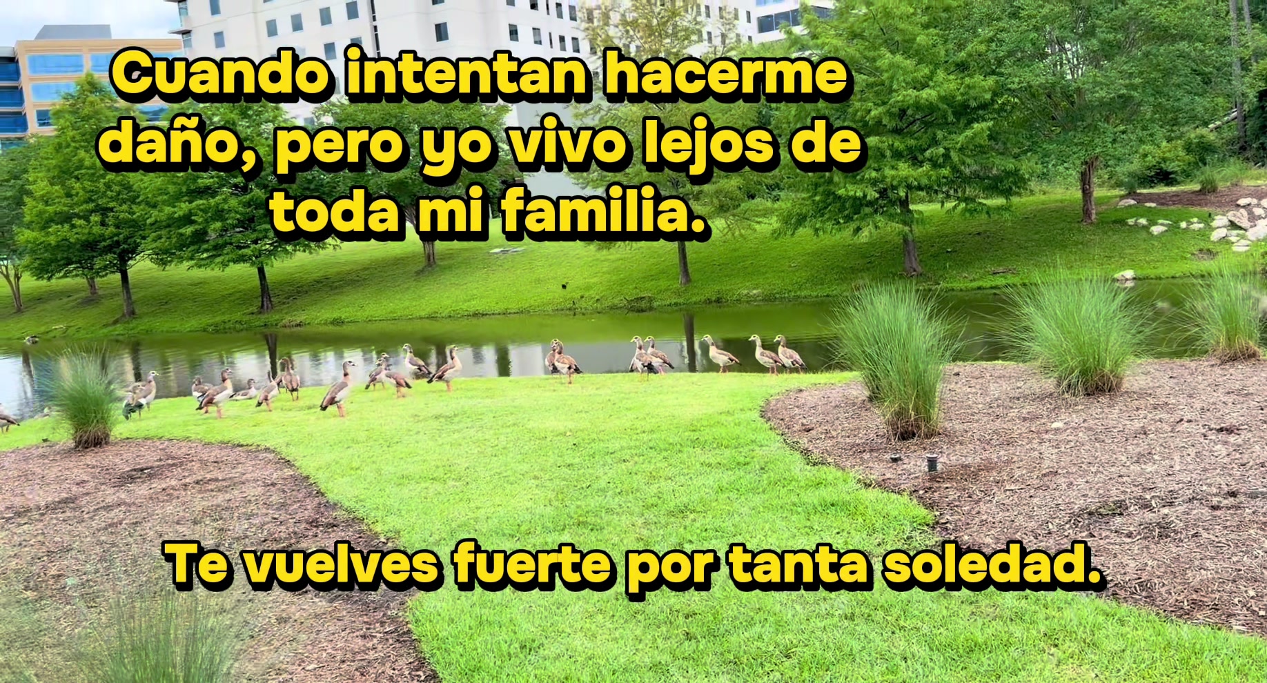 @Anet Sanchez🐆🍒🪩🍸