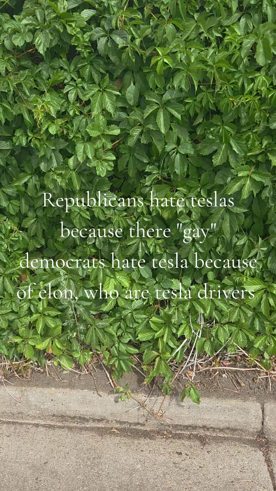@brewstewer. 🏁🇺🇲😹✌️⁉️⁉️⁉️