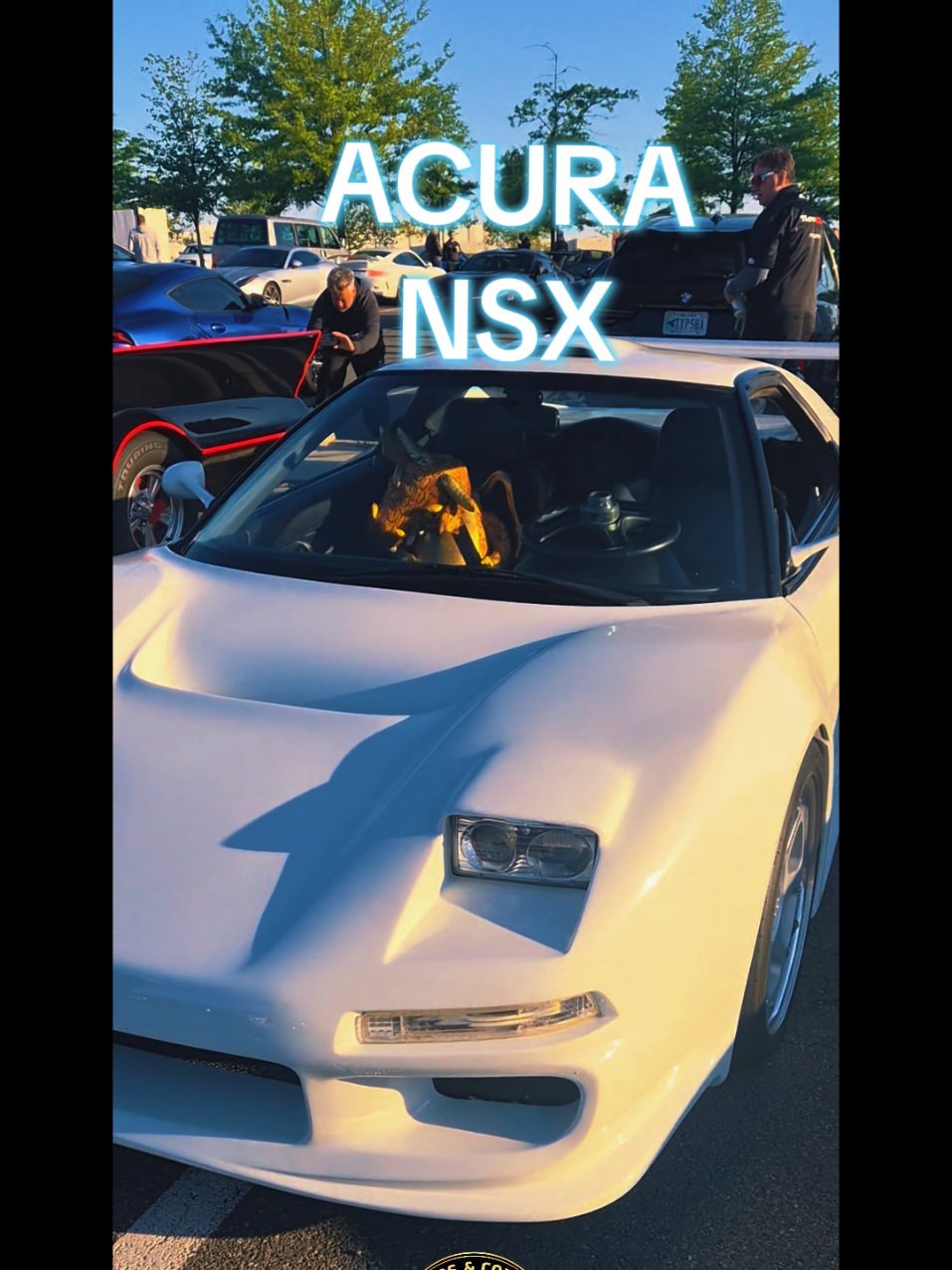 @Cars and Coffee DMV