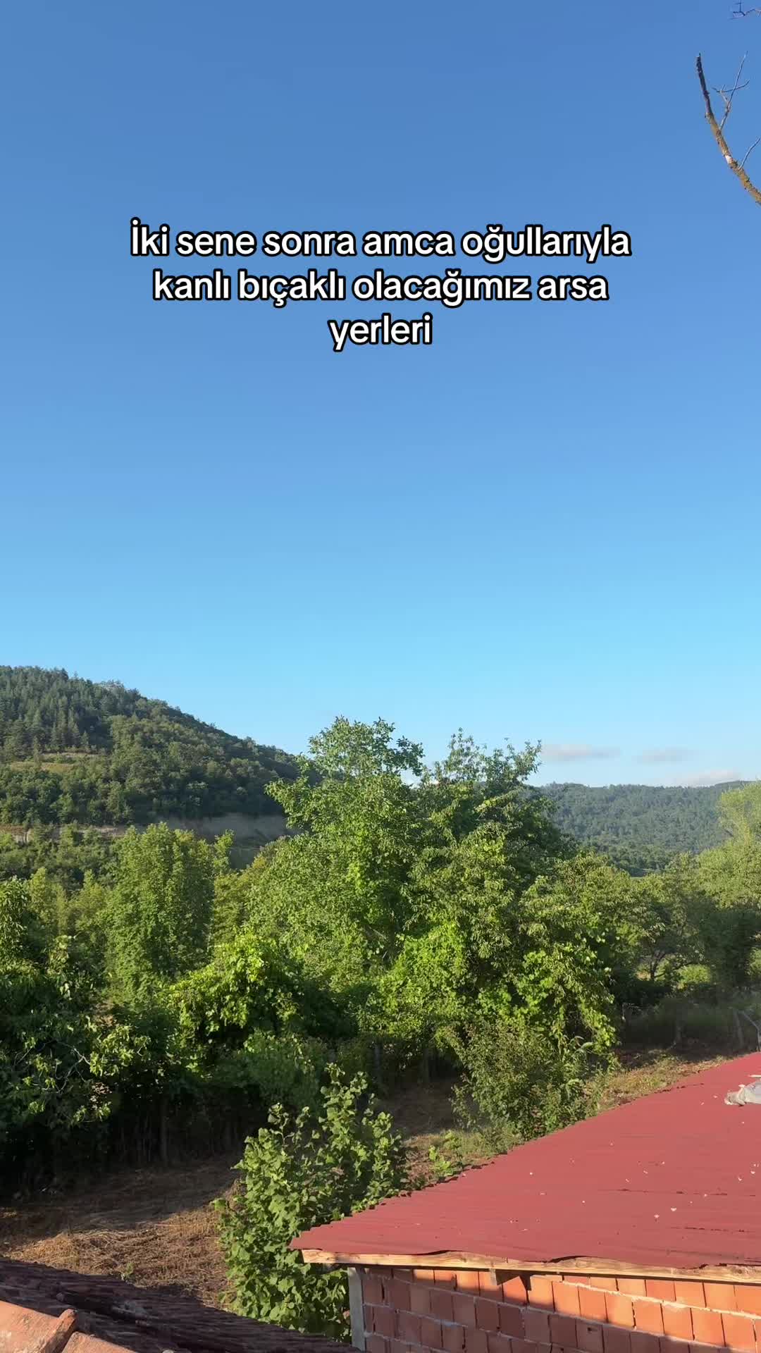 @Melisa Taş