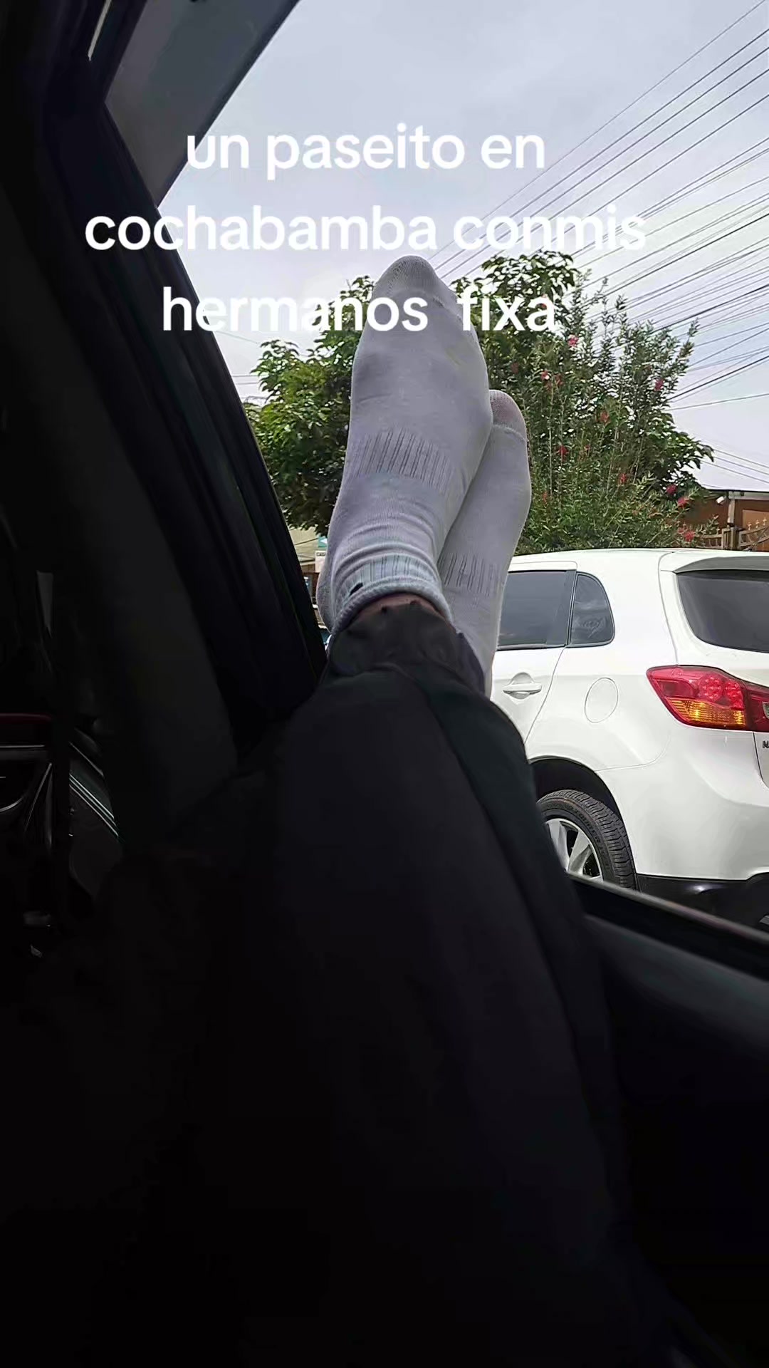 @MAMANI MAMANILLO🤠