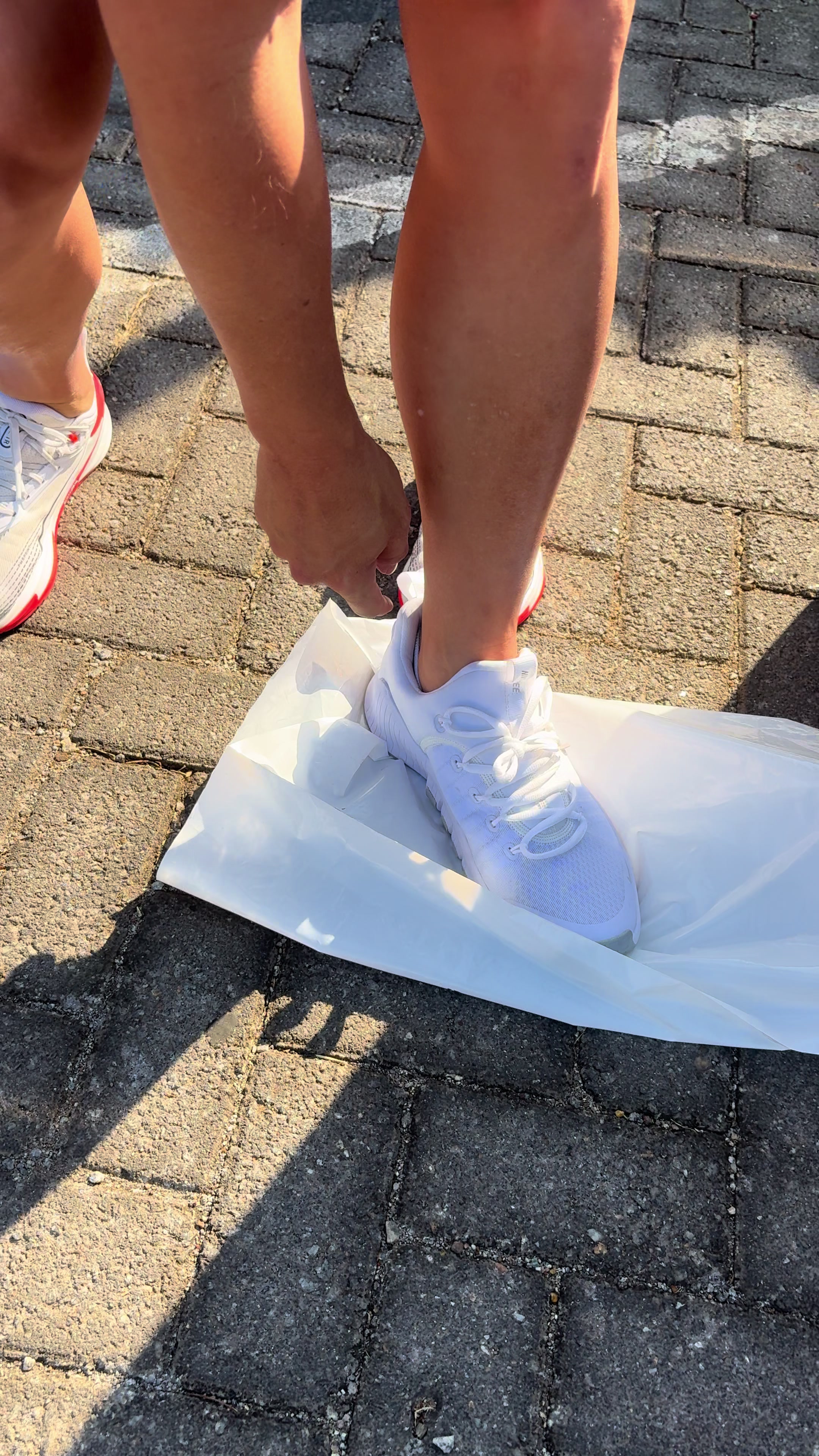 @Schysneakers