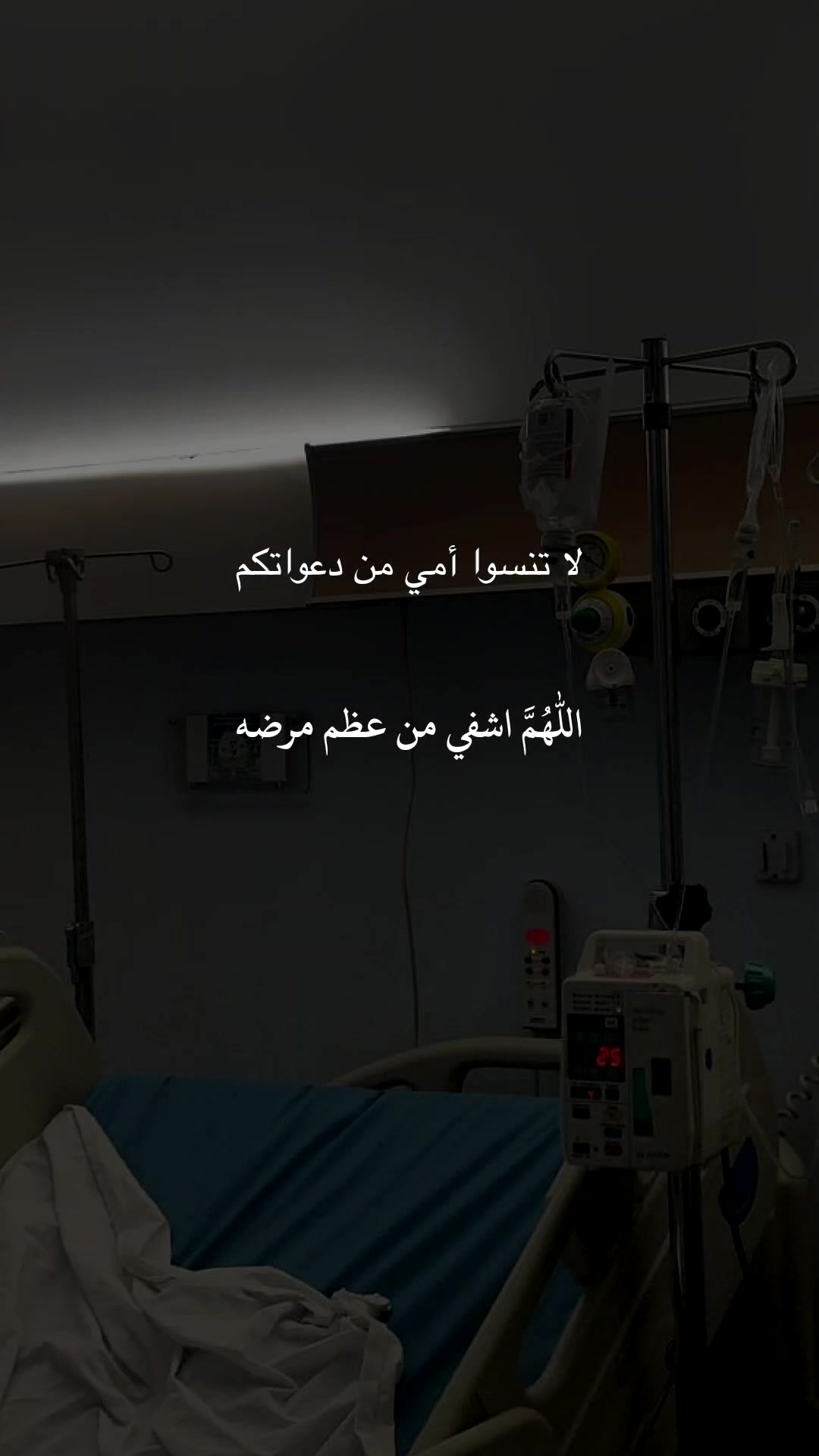 @❀ مُــسلم || 𝐌𝐔𝐒𝐋𝐈𝐌 ❀