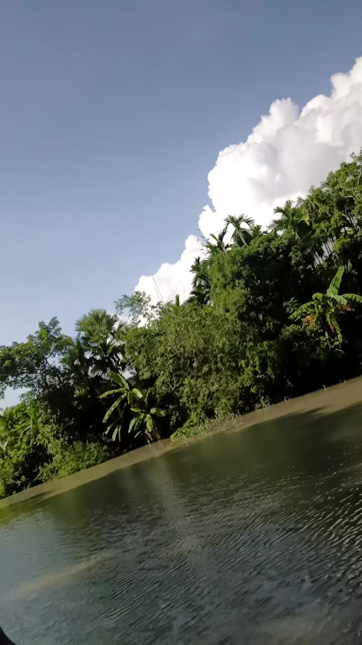 @lipikhandaker818