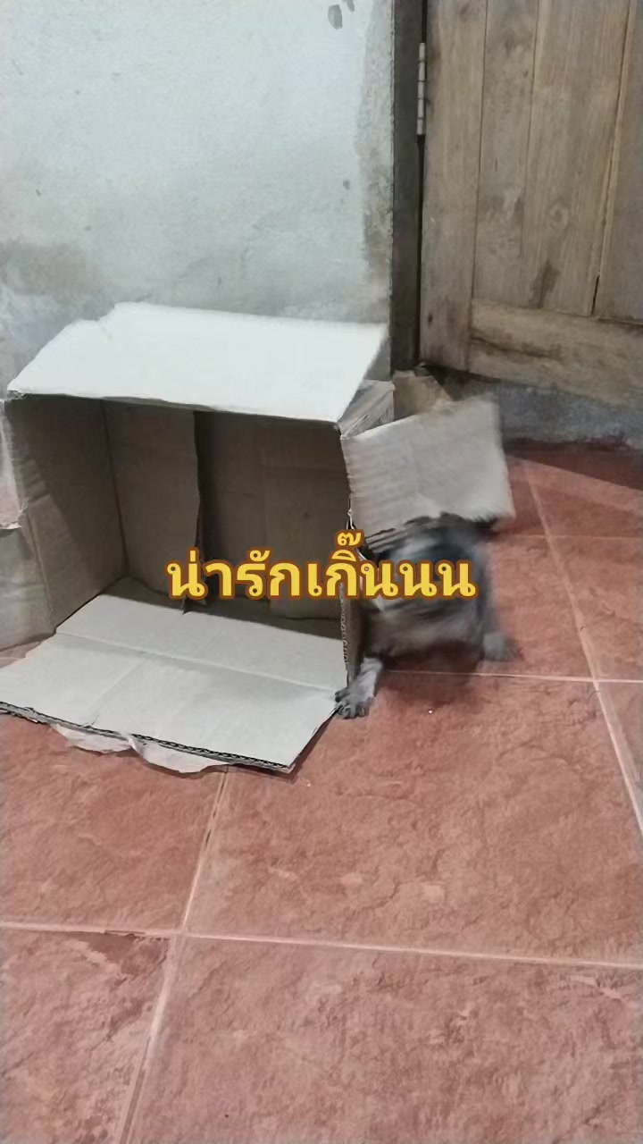 @หม้อดิน