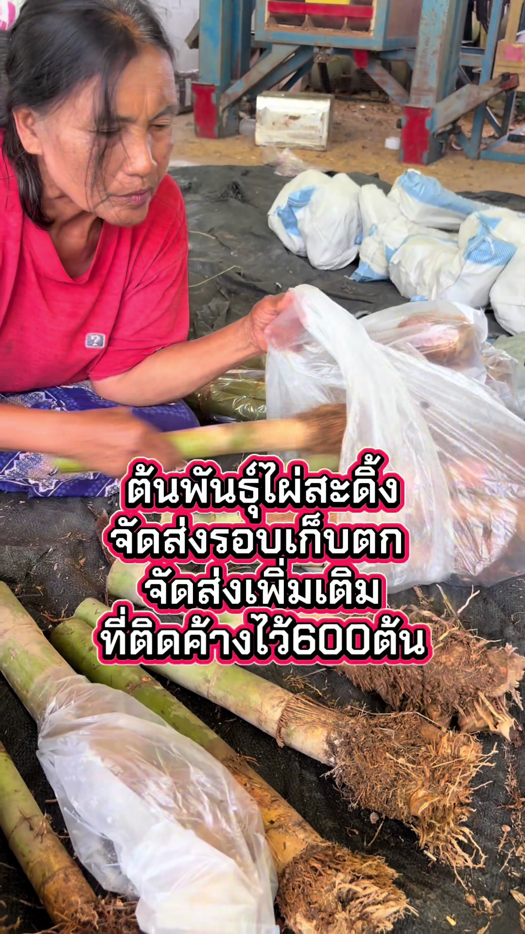 @นัดดาชอป