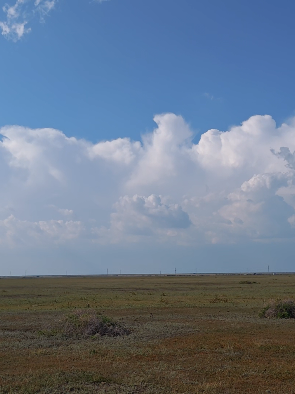 @живой человек