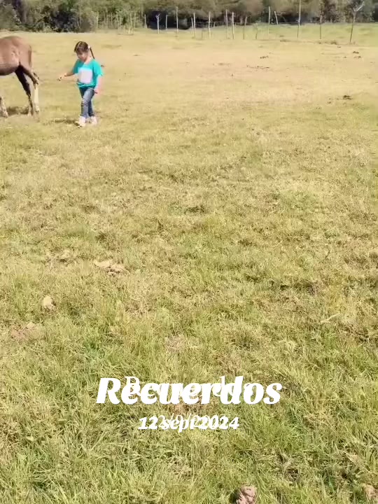 @Jeimy
