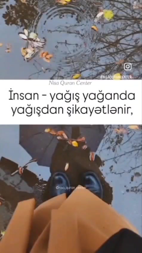 @şükürzadə təbərrik