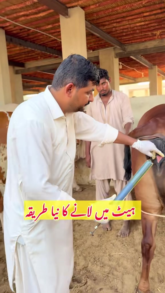 @Dr.Mohsin