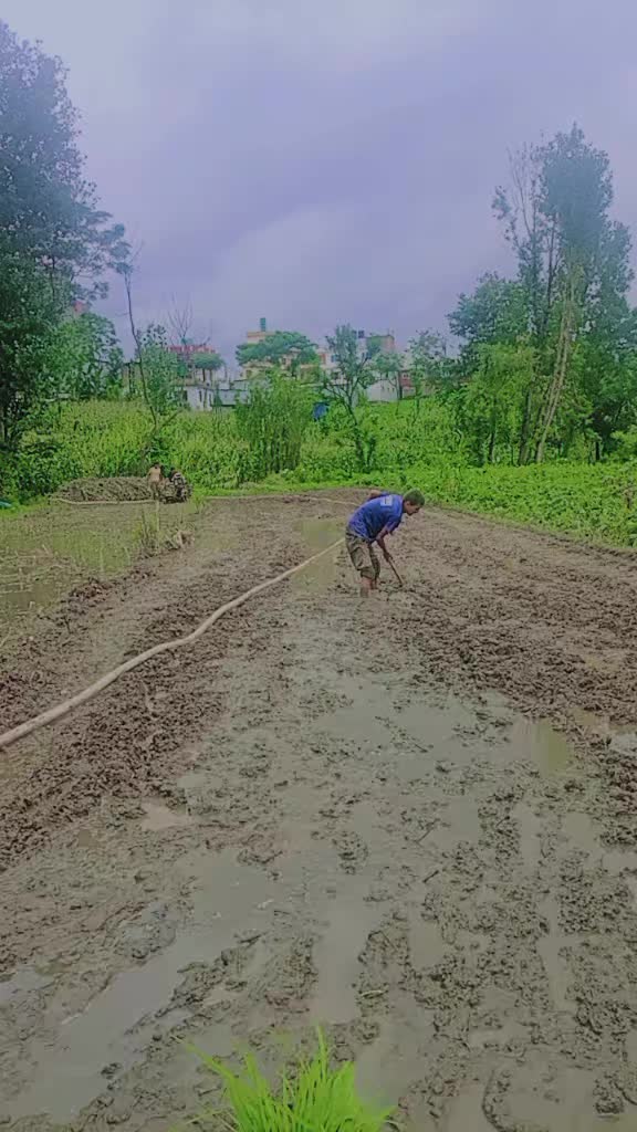 @durgaphuyal987
