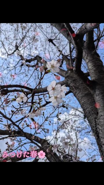 @๐ธใใใ๐๐ธ