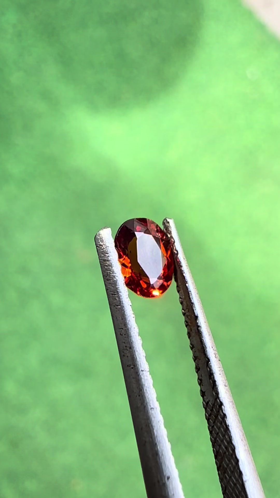 @Ceylon Gems Diary