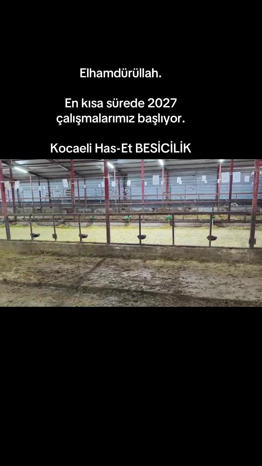 @Has Besi
