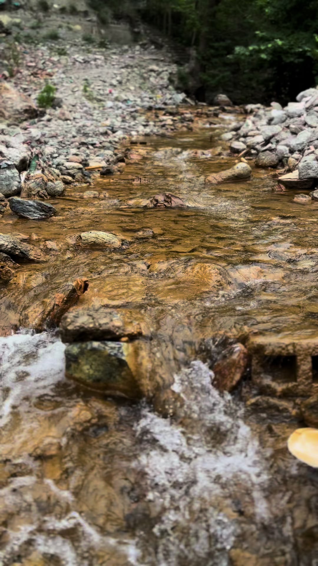 @Muratcan Gündoğdu