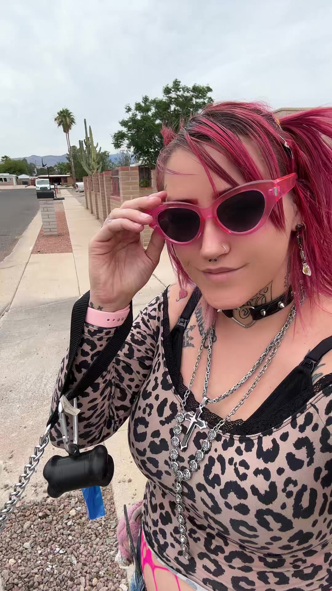 @tessadiego