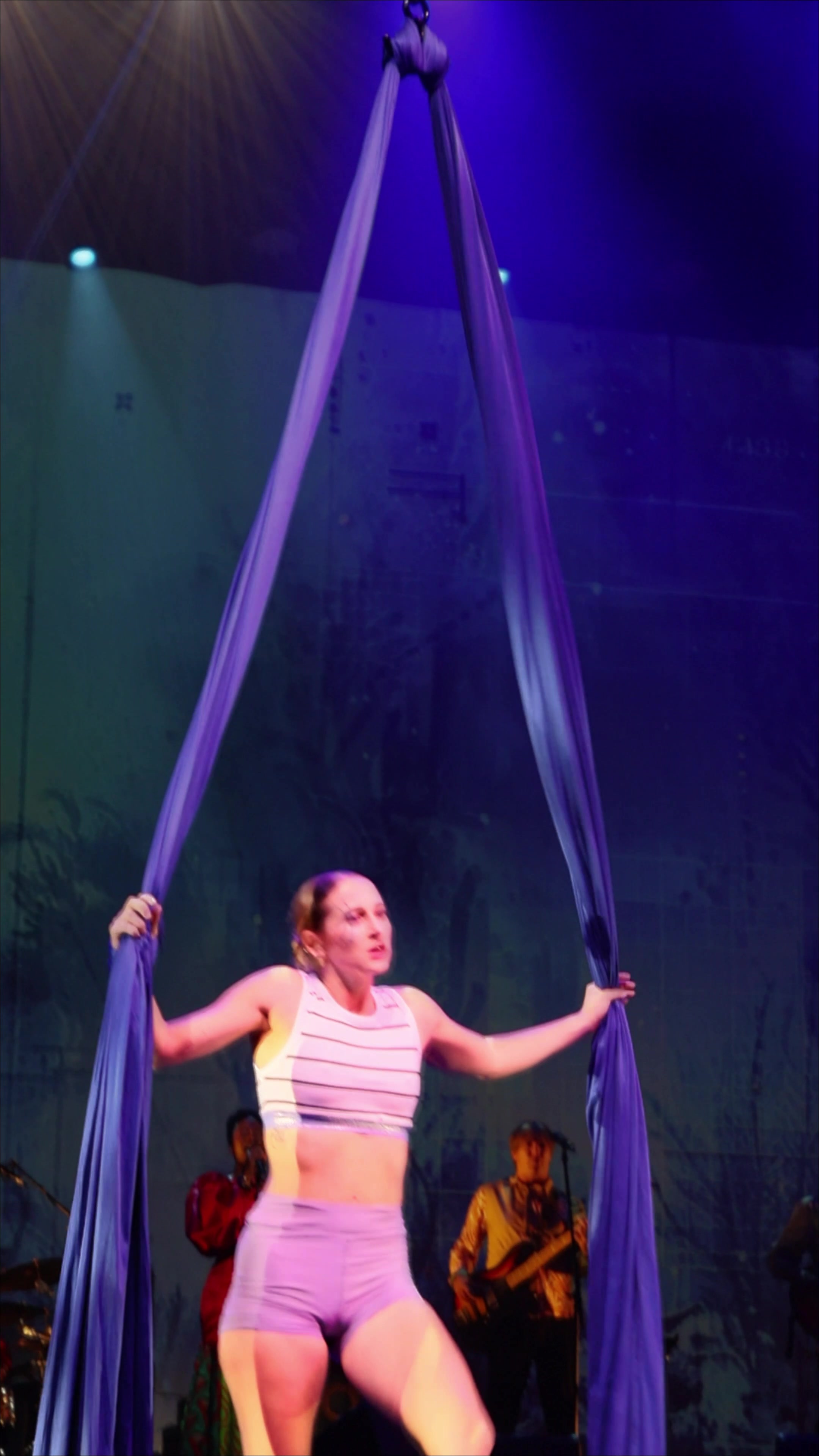 @Zip Zap Circus