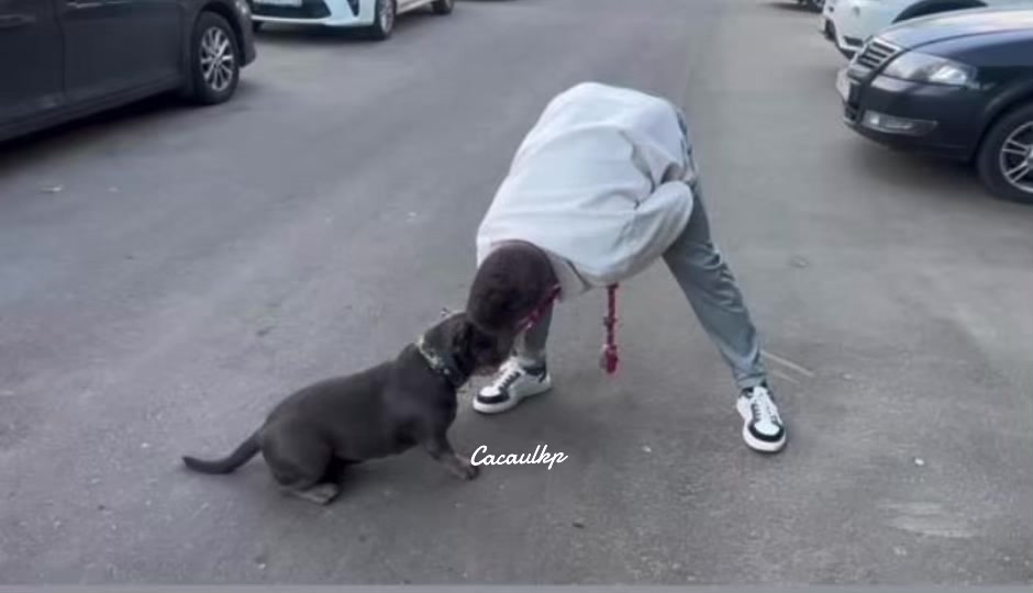 @Cacaulkp