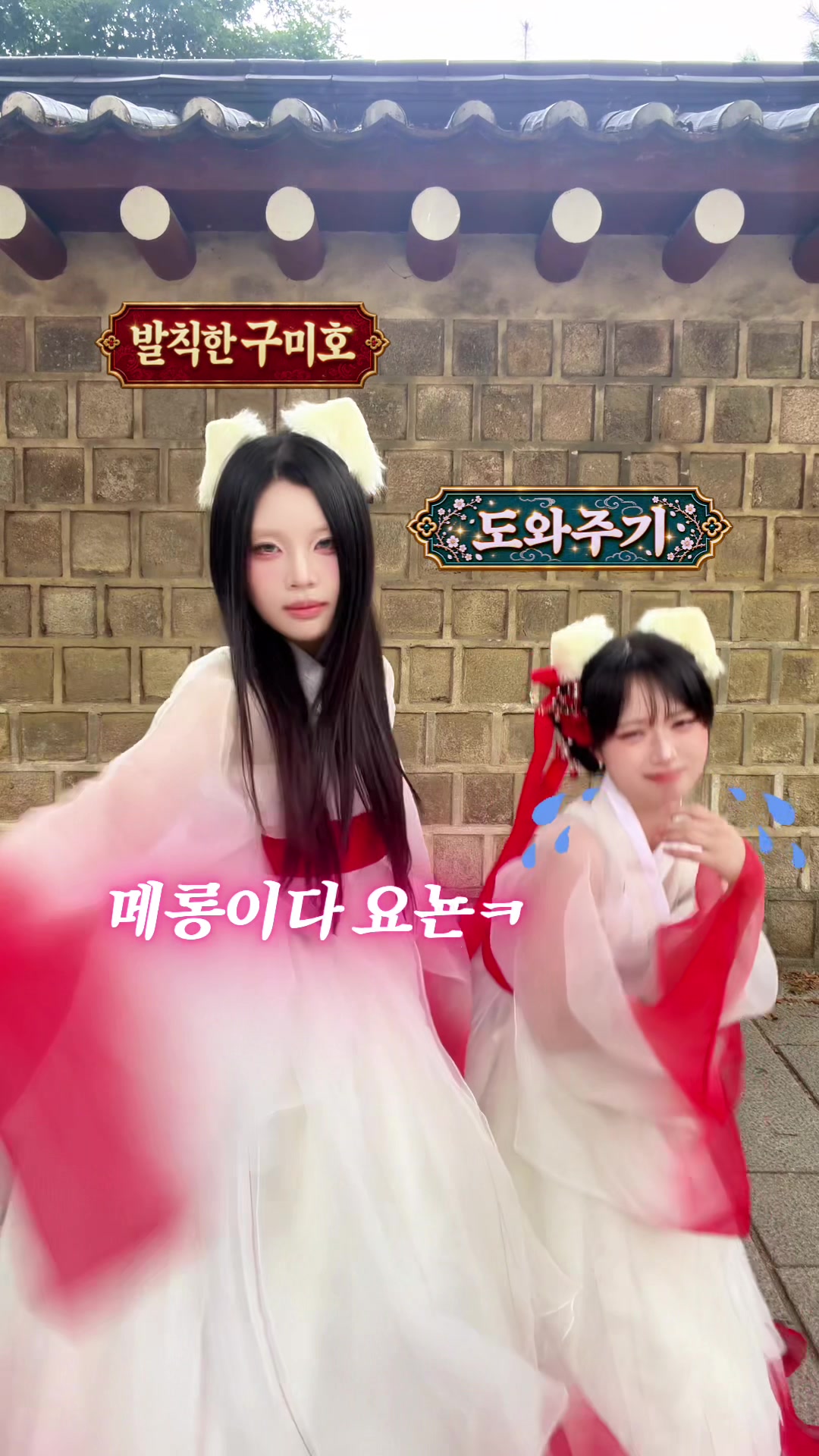 @미뇽 Mignon