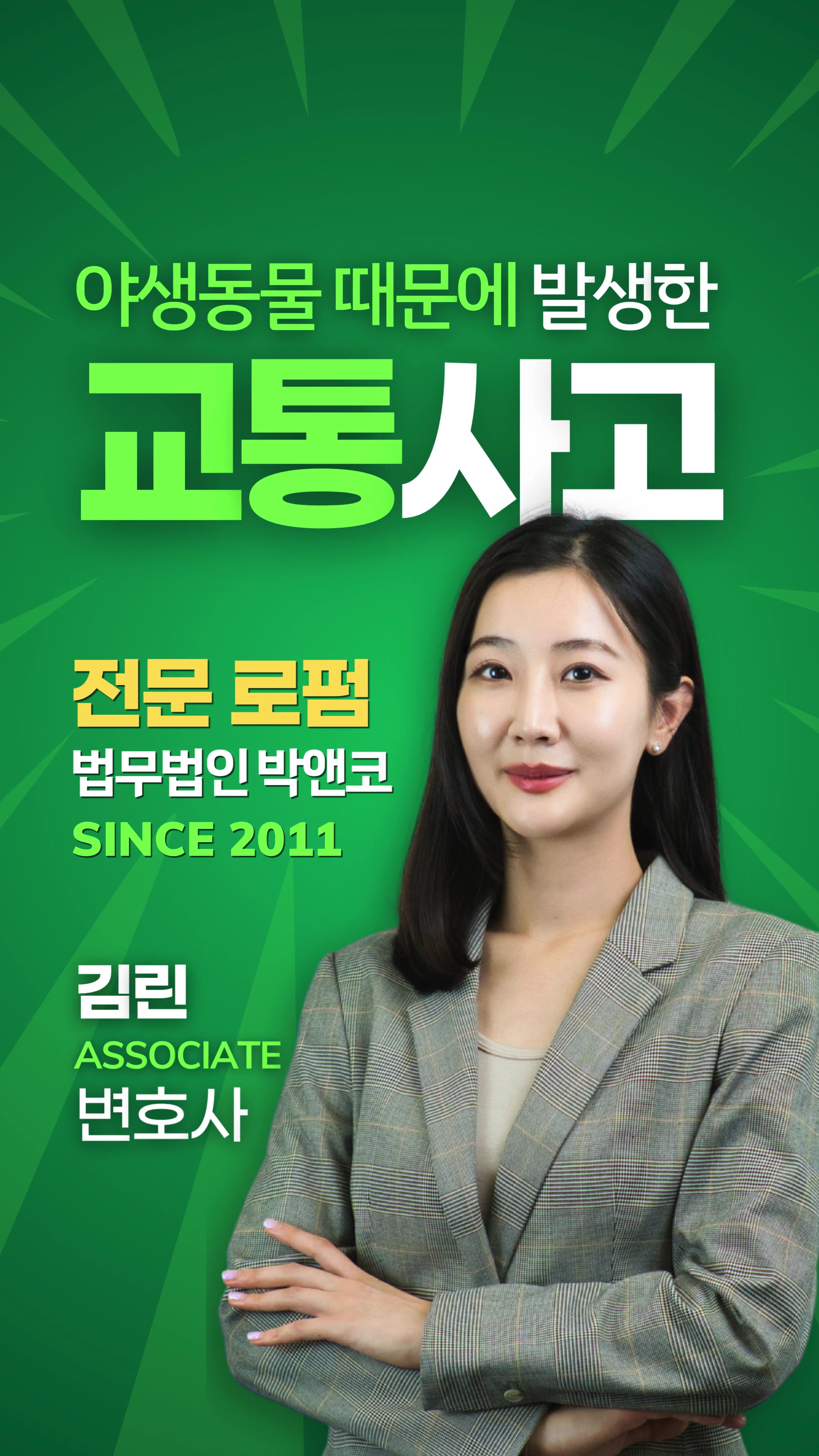 @Park & Co Lawyers 법무법인 박앤코 👍