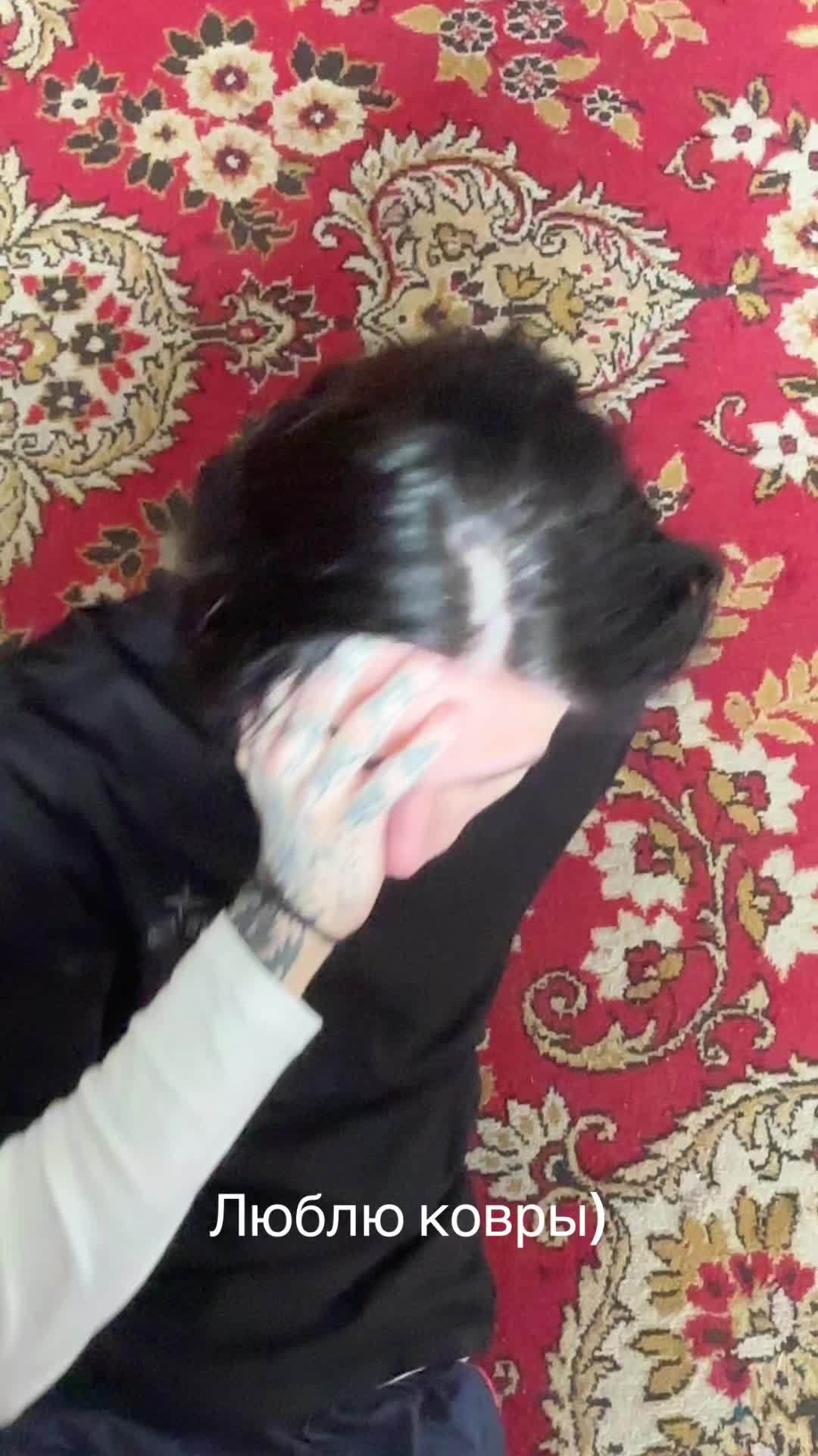 @Север