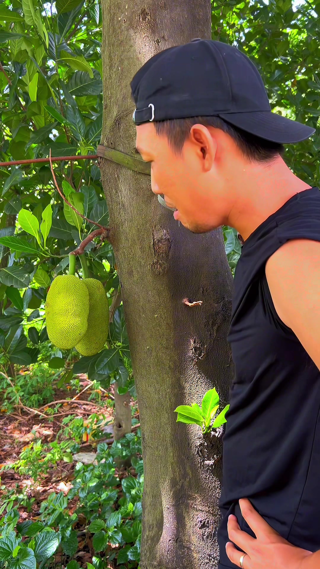 @XE TẢI THẦN TÀI