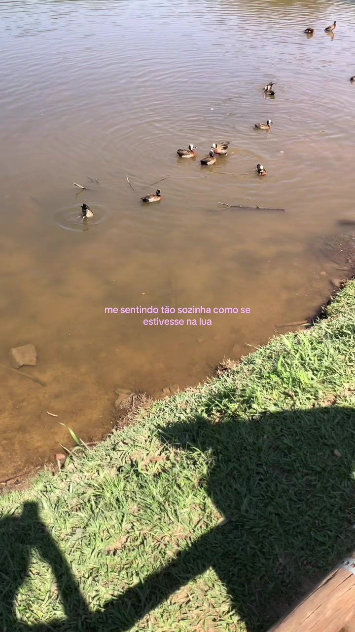 @Taís Saraiva