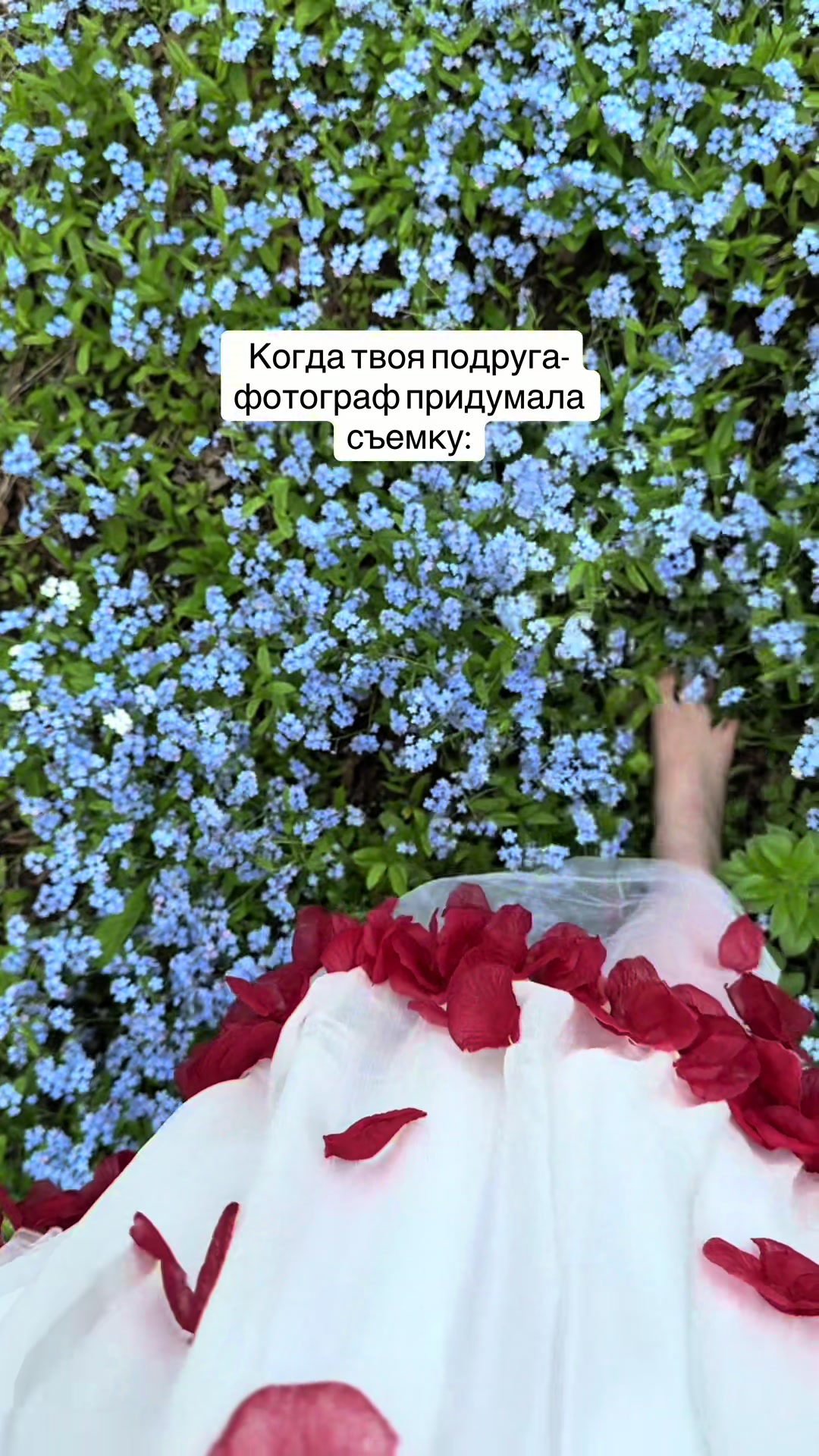 @Elifejka