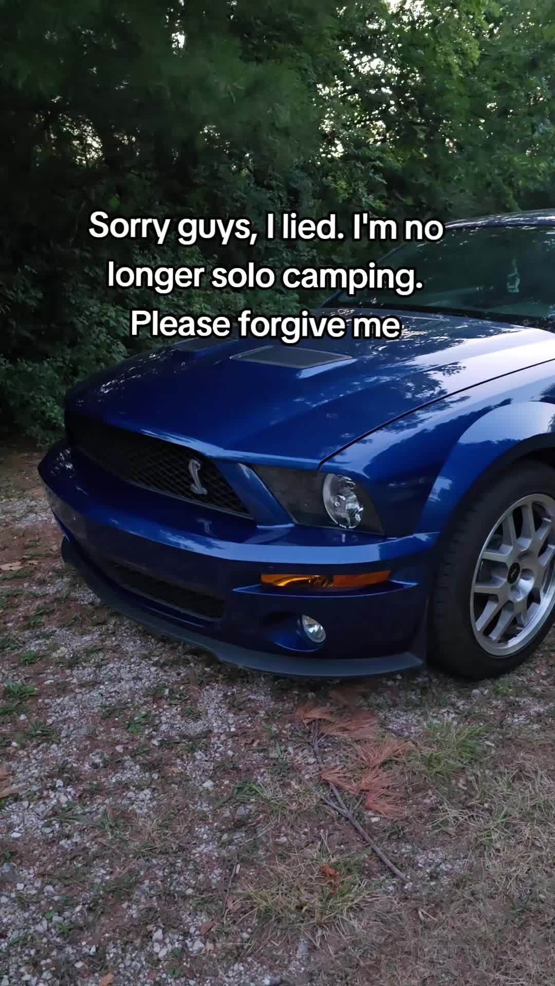 @AnimeVette