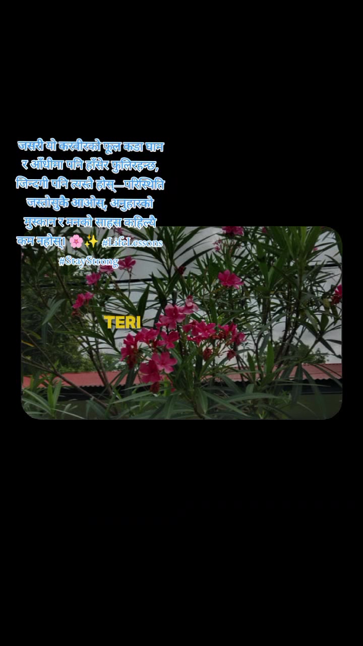 @Armendra Kumar Yadav