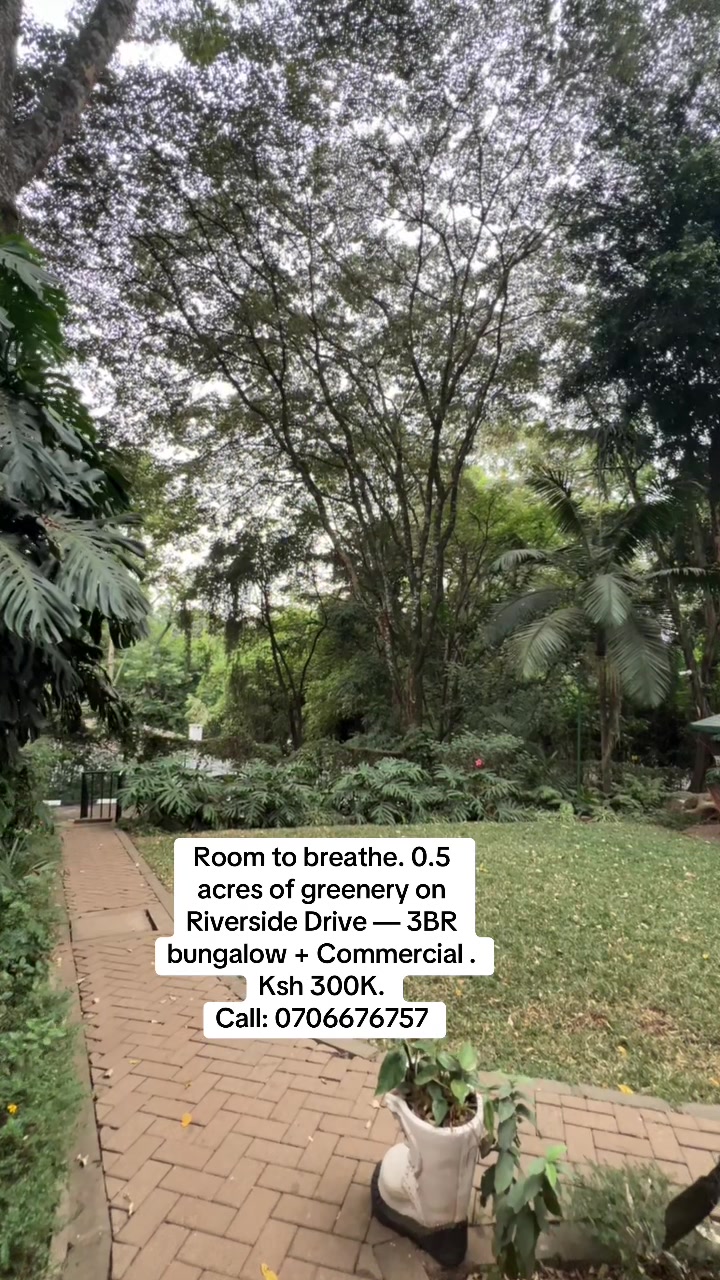 @Trex Real Estate