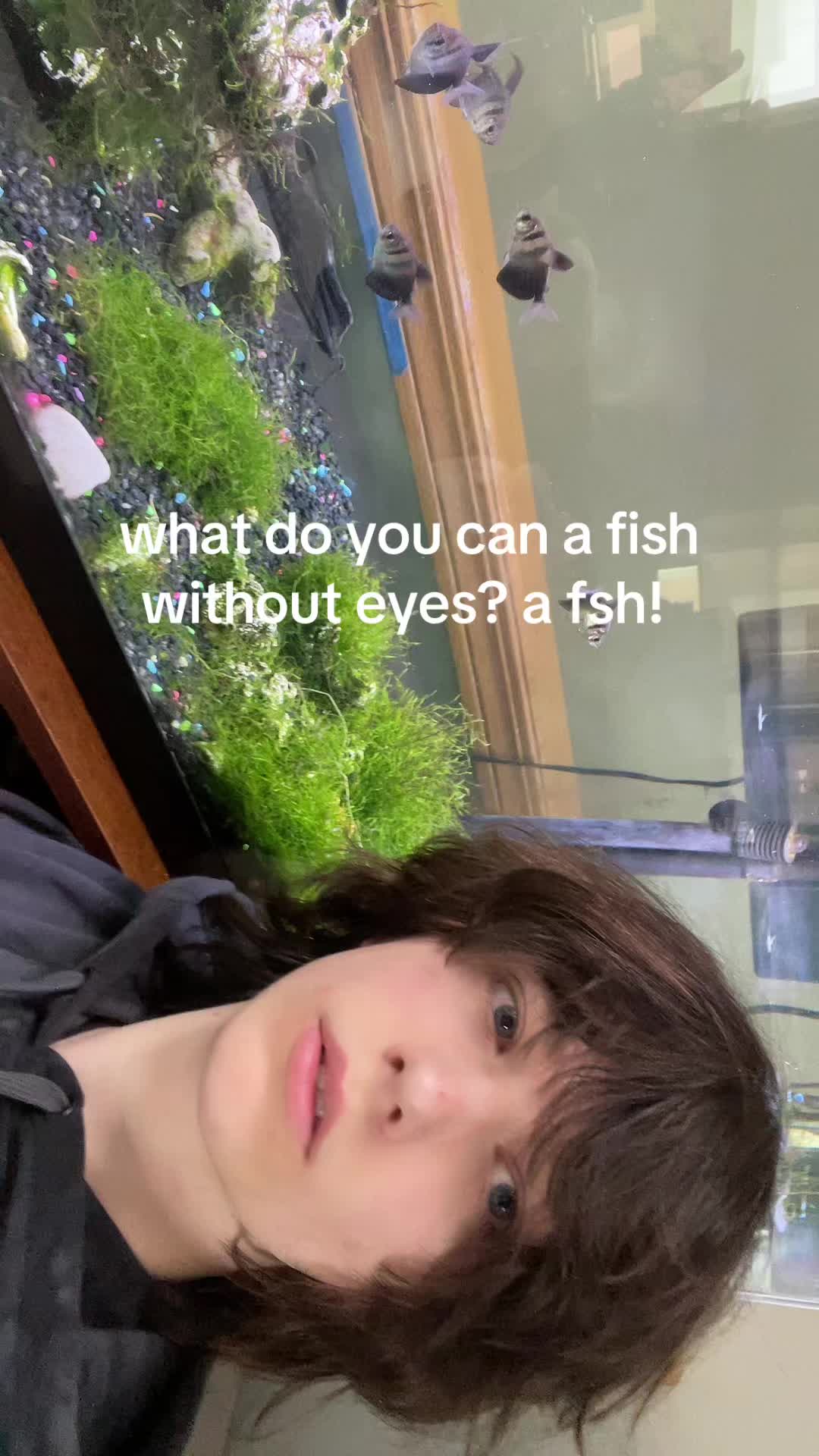 @fourtoedcatboy