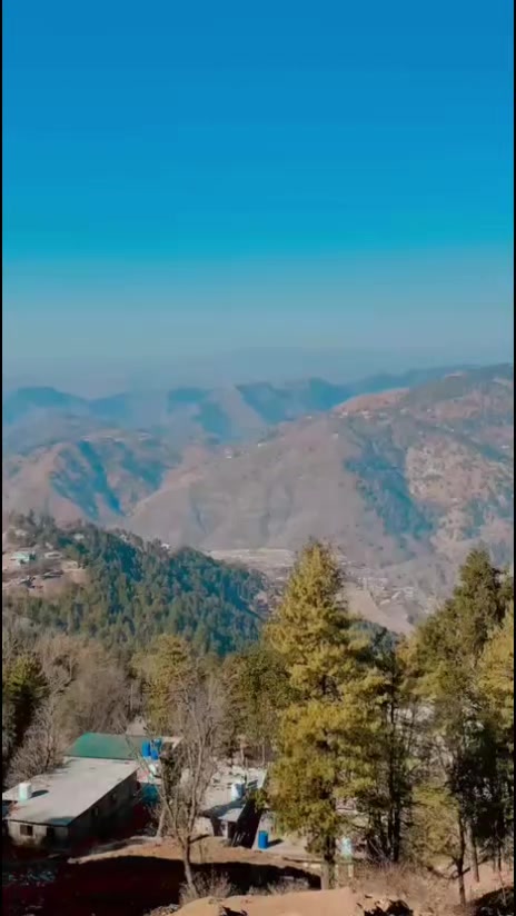 @Tajamulshah_officel