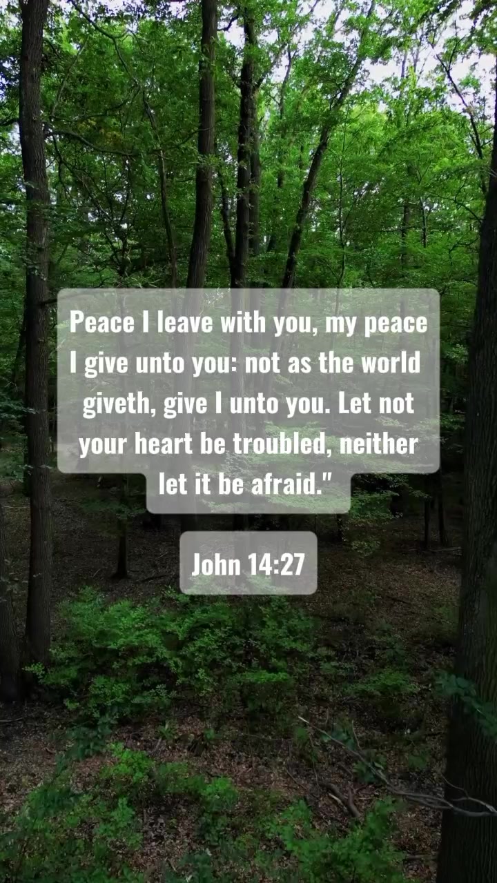 @Daily Bread Quotes