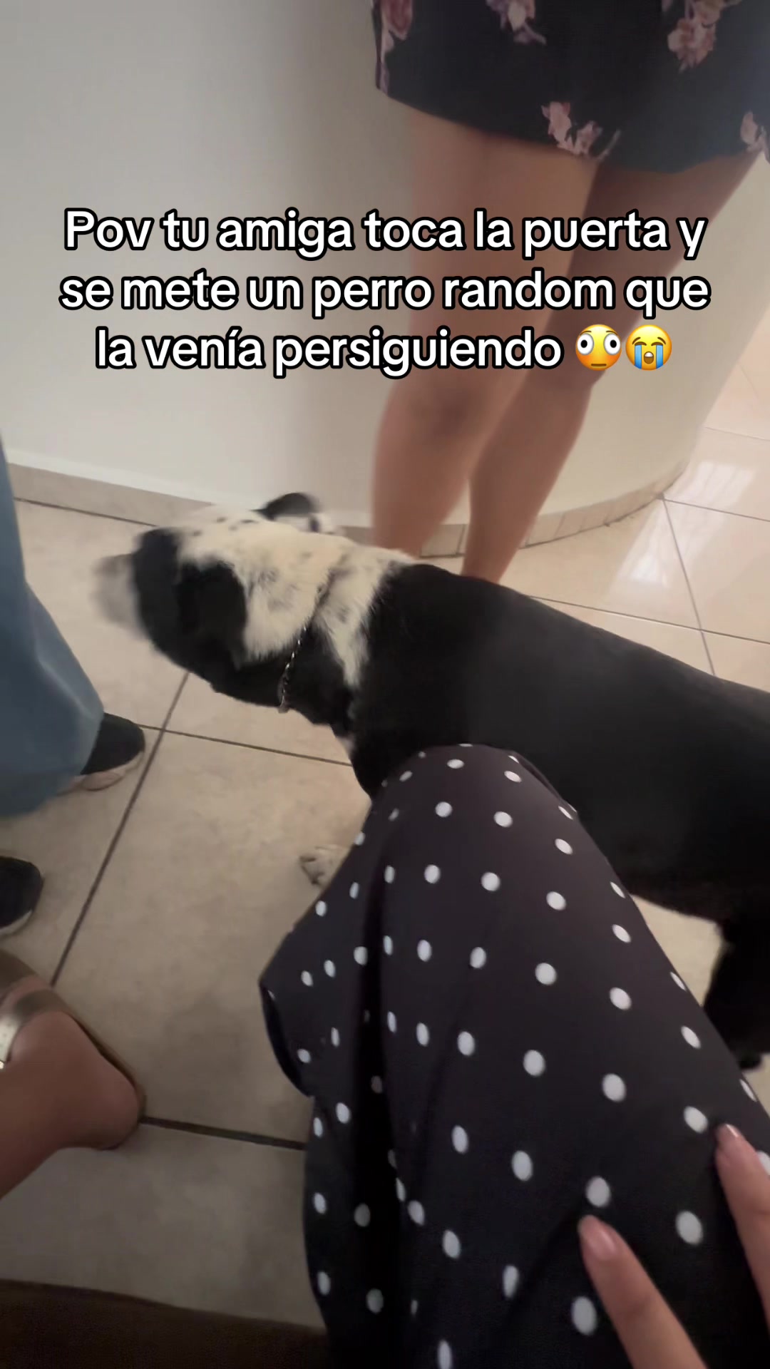 @lachicadelcentro