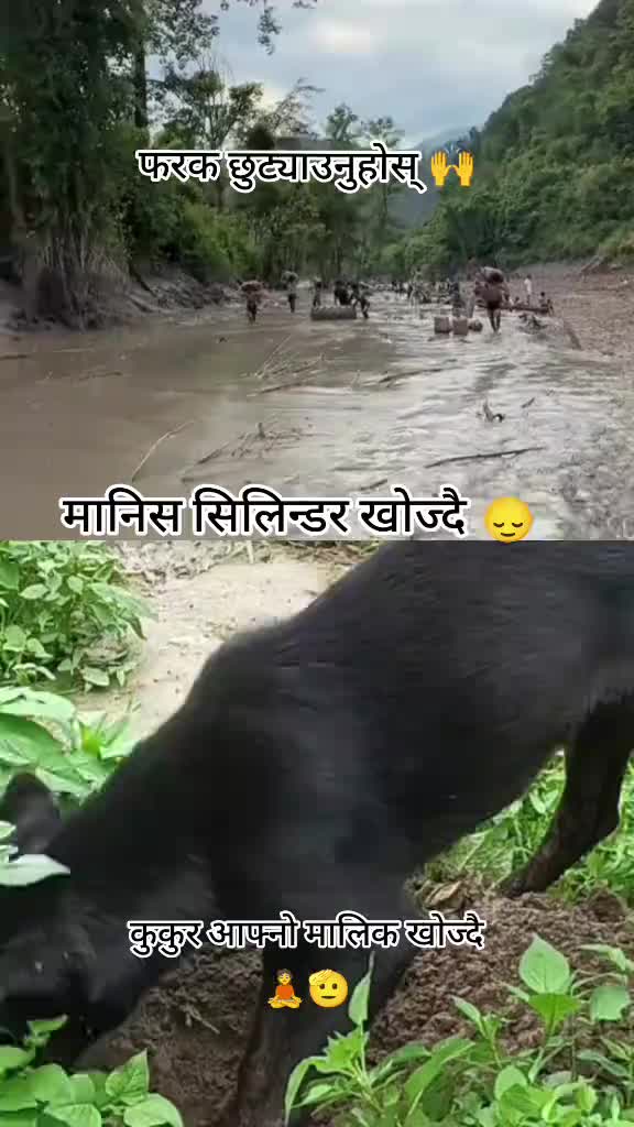 @NEWAR MAILA