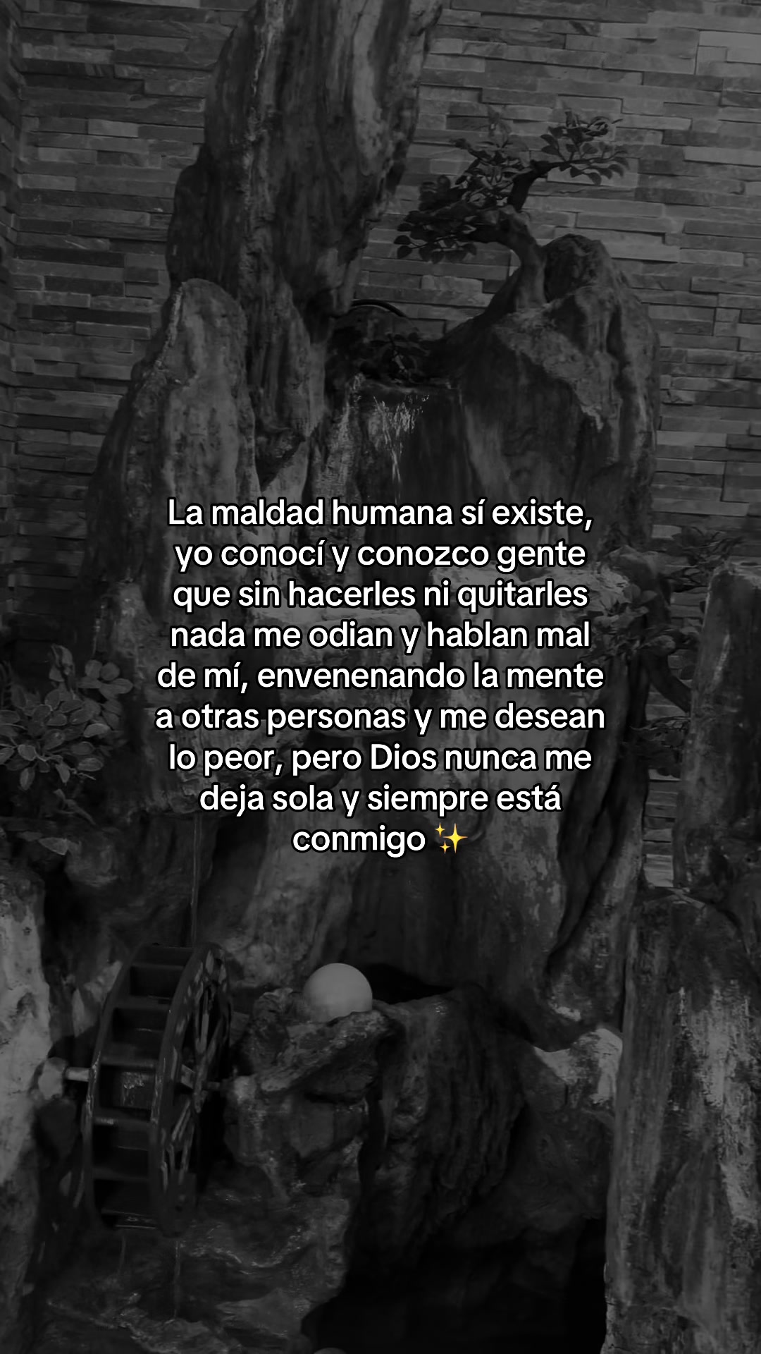 @🪼