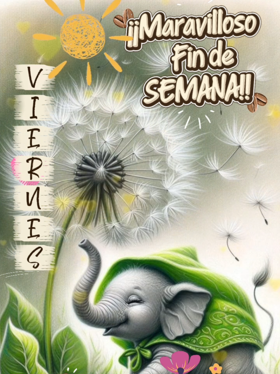 @Eliami Mir