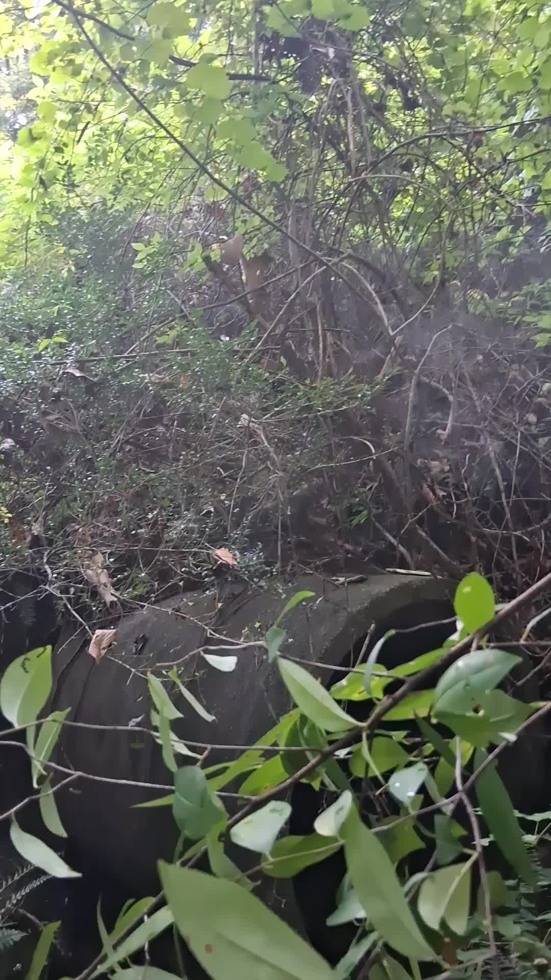 @Ẓ̌ŐmƁÏęboŷ