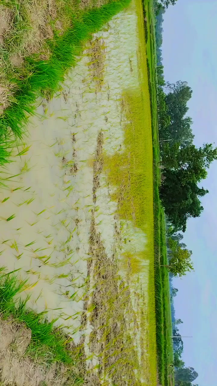 @Rajesh Yadav 🇳🇵💪💪💪