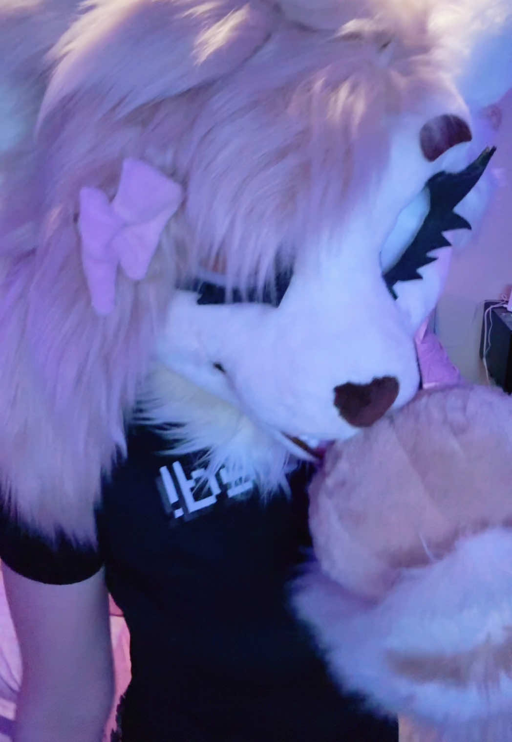 @🎀🦊Foxii🦊🎀